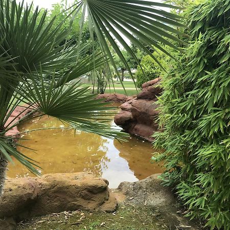 Saval Los Juncos La Pineda Bagian luar foto